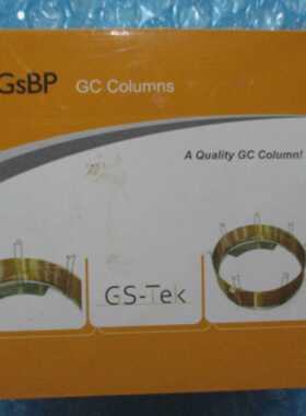 GSTek 24253002 GsBPINOVAXMS 30m x 0.25mm x 0.25m GC Columns
