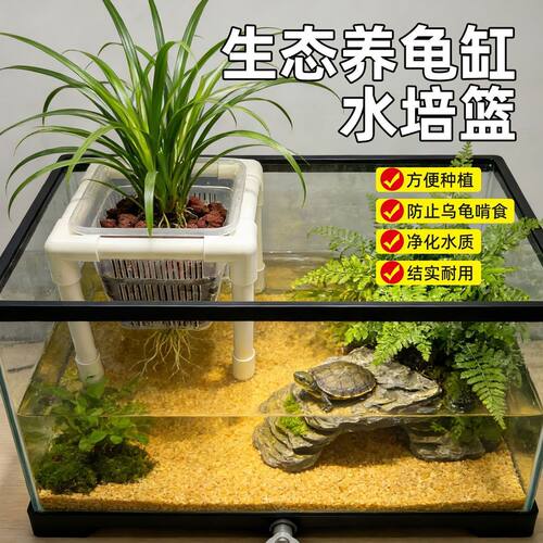 乌龟生态缸水培定植篮支架