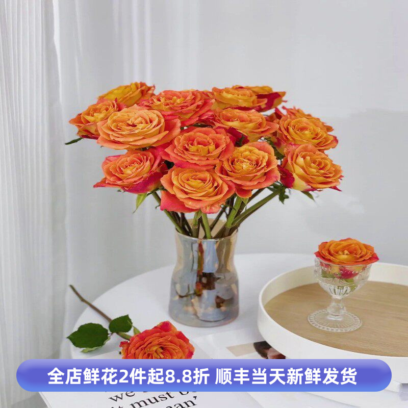 欢乐颂玫瑰花单头大朵鲜切月季花水养情人节花束北京鲜花直发包邮