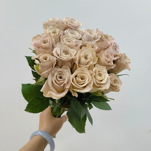冷色系玫瑰花曼塔鲜切花情人节花束水养家庭插花北京同城鲜花速递