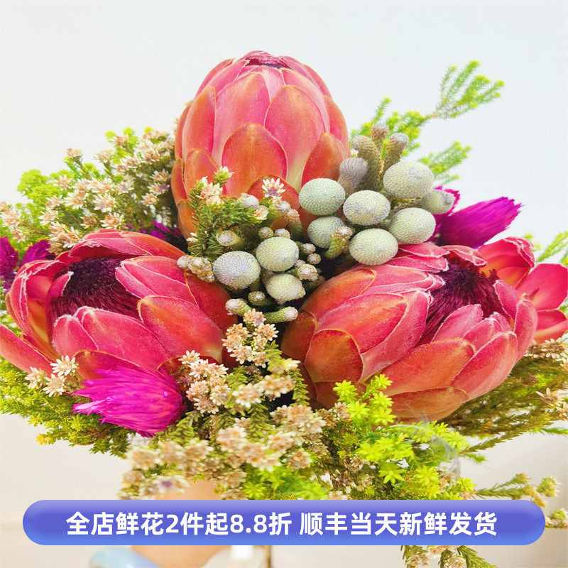 南非进口公主花束手捧花帝王木本