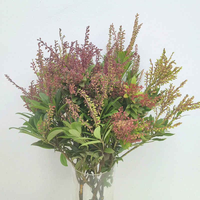 山里红鲜花斗南基地直发水养配花办公室家庭插花情人节同城花速递