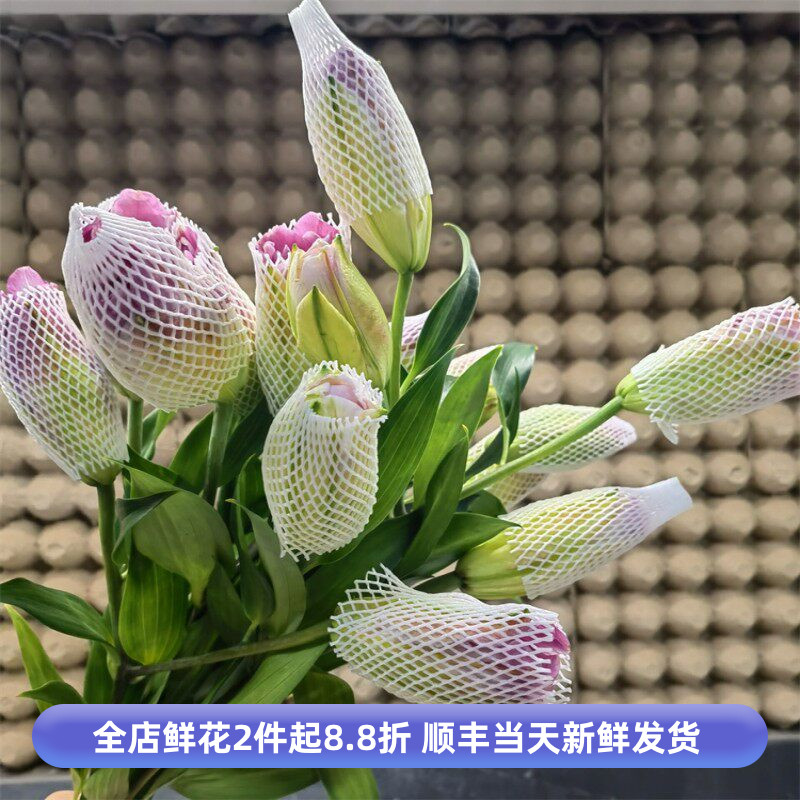 重瓣百合鲜切花双头香水百合花水培家庭办公室花瓶插花礼佛香味浓