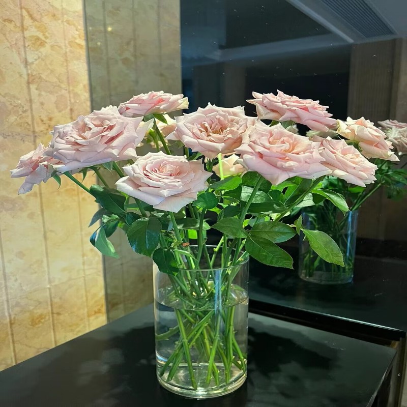 流沙玫瑰花复古大朵鲜切水季花