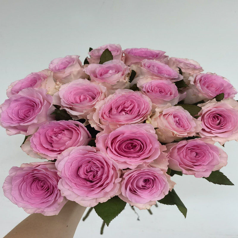 19玫瑰婚庆情人节月季鲜花