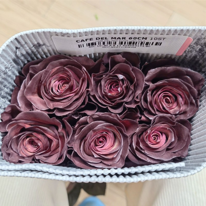 cafe del mar进口咖啡色玫瑰花大朵鲜切花月季花北京同城鲜花速递