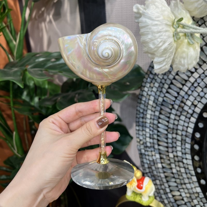 轻奢个性天然海螺贝壳高脚杯手工创意香槟红酒杯子伴手礼,家居饰品,装饰摆件,淘宝优惠券,粉丝福利购,淘宝优惠卷