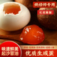 生咸鸭蛋生咸蛋新鲜鸭蛋红泥腌制带壳油黄盐蛋蛋黄酥月饼粽子等