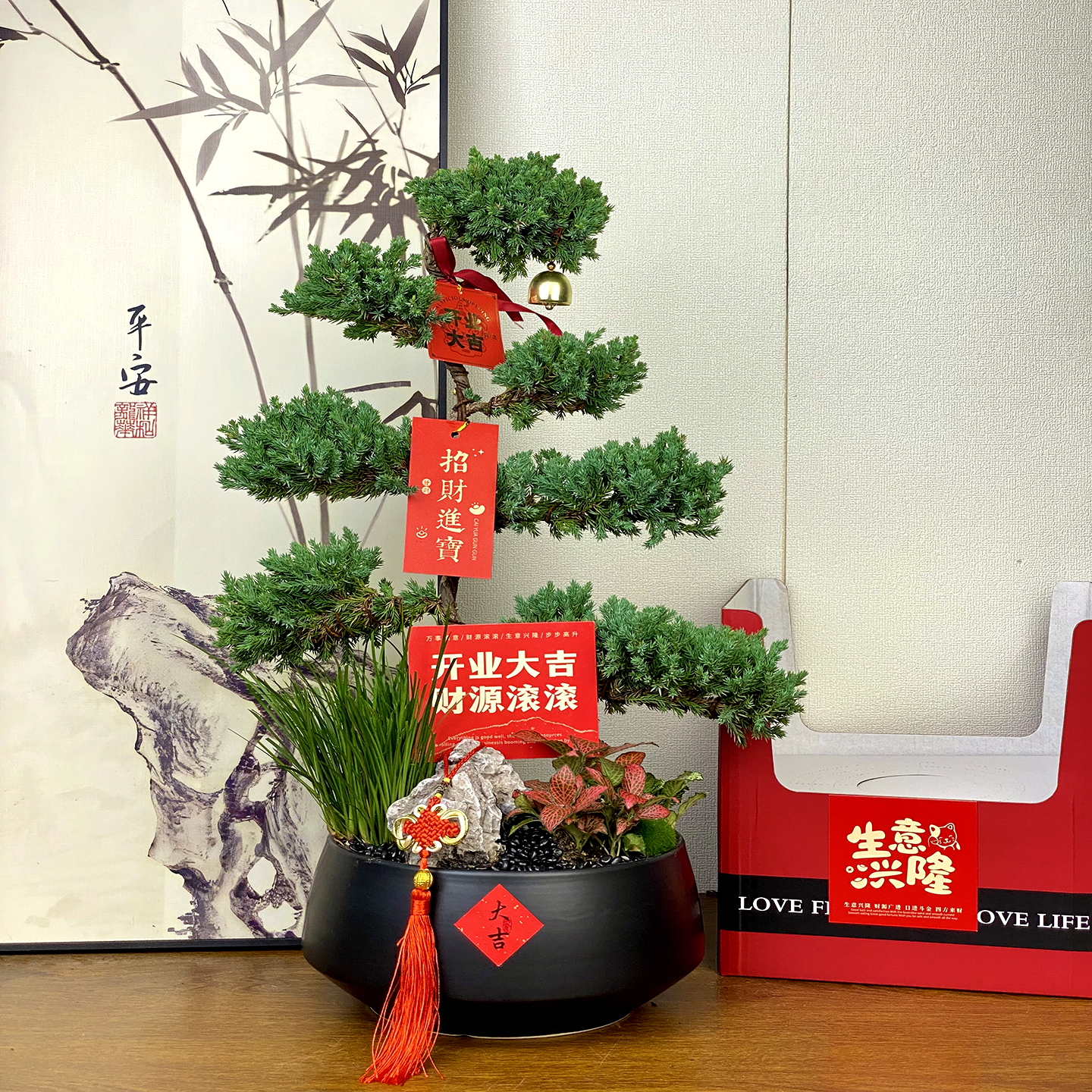 嘉嘉园艺七层塔松盆栽.七星高照.