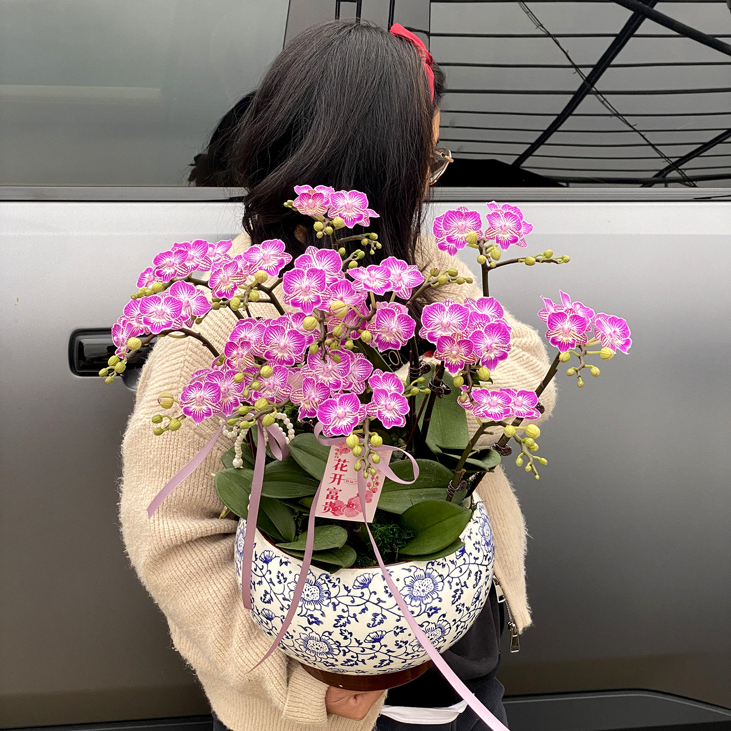 蝴蝶兰盆栽带花新家乔迁礼物开业绿植送礼生日花卉客厅桌面植物真