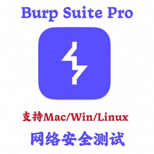 Burp Suite Professional 2025.8.4 中文汉化网络渗透安全测试