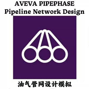 AVEVA PIPEPHASE Pipeline Network Design 2023油气管网设计模拟