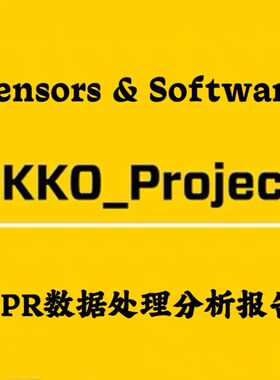 Sensors & Software EKKO_Project 2025 V6 R2.1 GPR数据分析报告