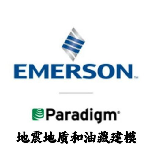 Emerson Paradigm 22 2022.06.20 + SKUA-GOCAD安装咨询指导服务