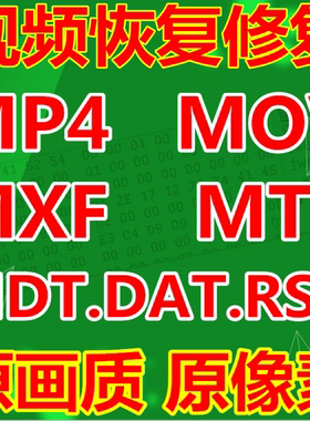 佳能索尼松下尼康大疆GOPRO运动相机SD卡视频恢复MP4MOVMXF修复0K