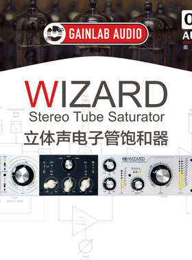 Gainlab Audio Wizard 立体声电子管饱和染色效果器 均衡动态控制
