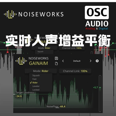 正版NoiseWorks GainAim 实时音量自动匹配 混音增益响度平衡插件