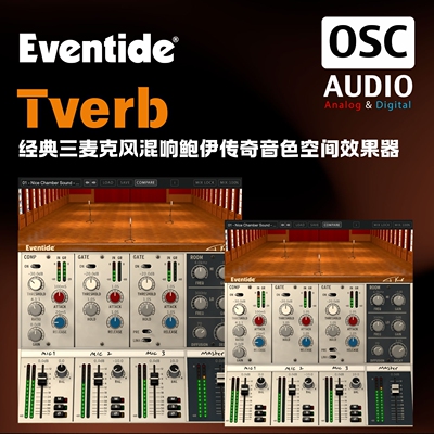 正版Eventide Tverb 经典三麦克风混响鲍伊传奇音色空间效果器