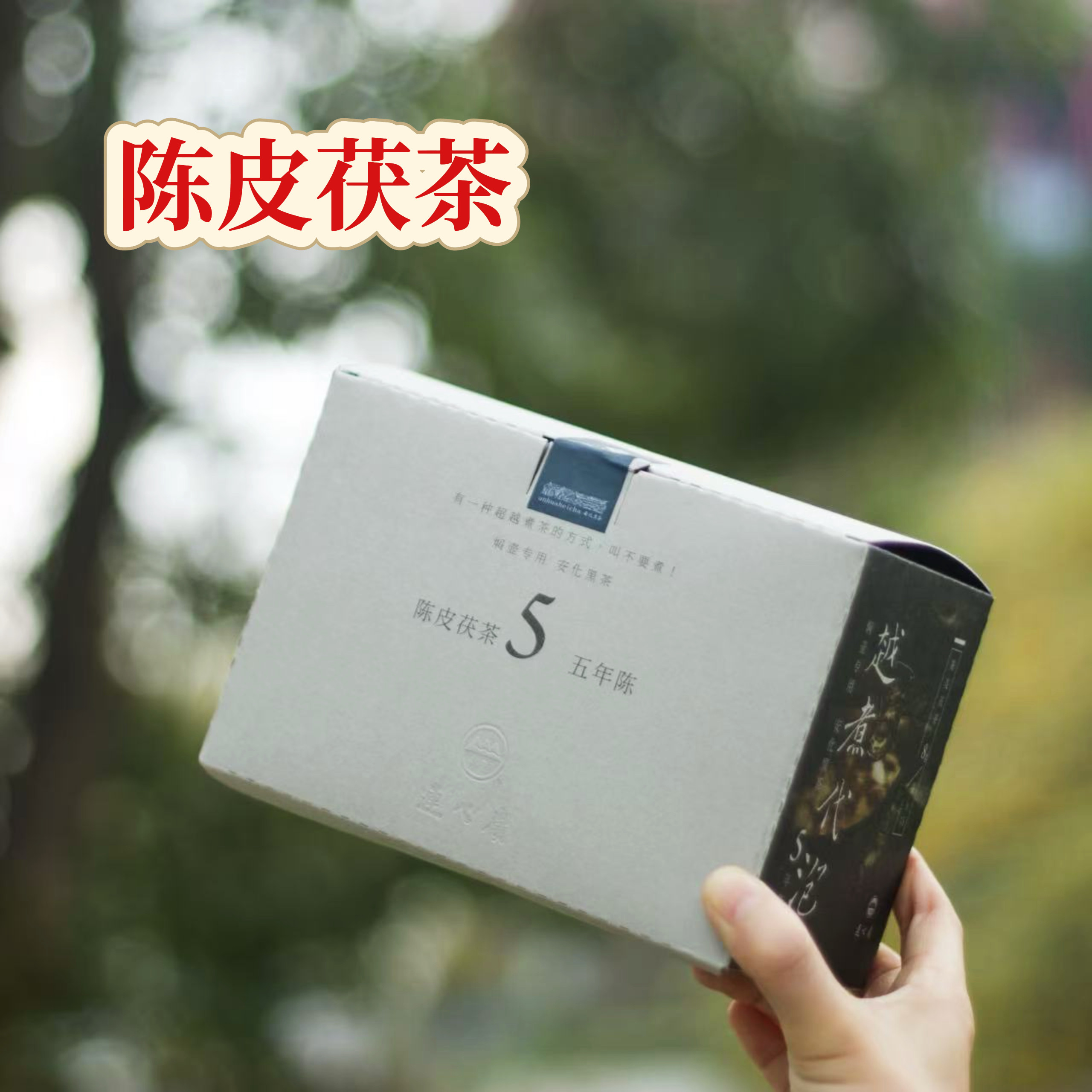 陈皮黑茶 湖南安化黑茶 连心岭越煮代泡2019+五年陈 正宗陈皮茯茶