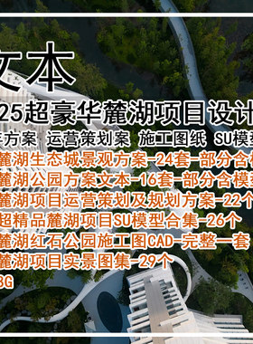 GH425-2025麓湖项目设计合集 麓湖历年方案运营策划施工图SU模型