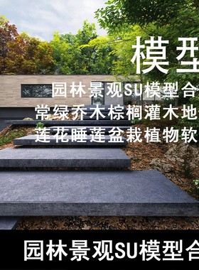 SU116-园林景观SU合集 常绿乔木棕榈灌木地被莲花睡莲盆栽su模型