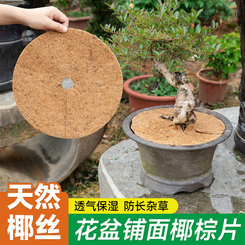 花盆椰棕片椰丝垫底孔防漏土防虫天然铺面大小号圆形垫料透气垫网