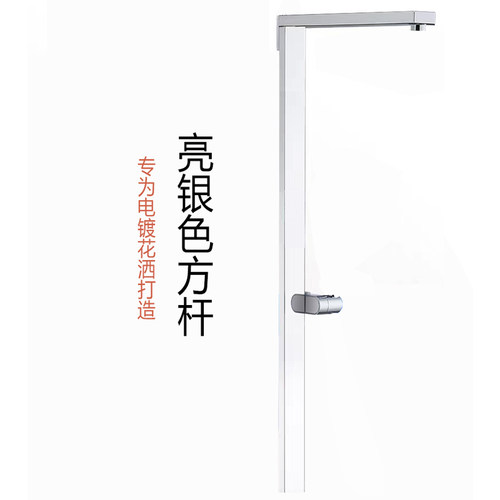 专配电镀铬色平台置物花洒