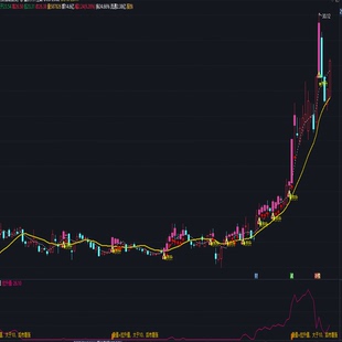 黄金指标炒股票通达信量价共振抓妖股牛股交易技巧副图技术指标