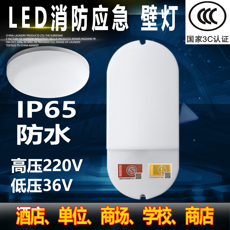 消防应急照明壁灯LED防水电井三防壁挂A型低压36V24伏自带蓄电池