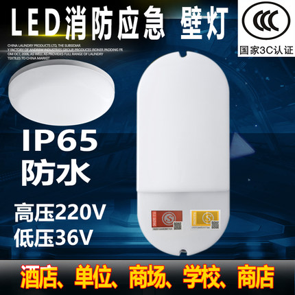 消防应急壁灯照明防水LED防潮三防电井壁挂式2436V220V自带蓄电池