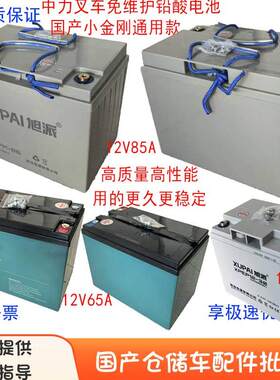 电动搬运车12V85A65A30A华富铅酸蓄电池6-GFM-85电瓶外置充电机