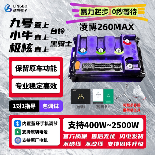 凌博E260MAX九号MZ95CN