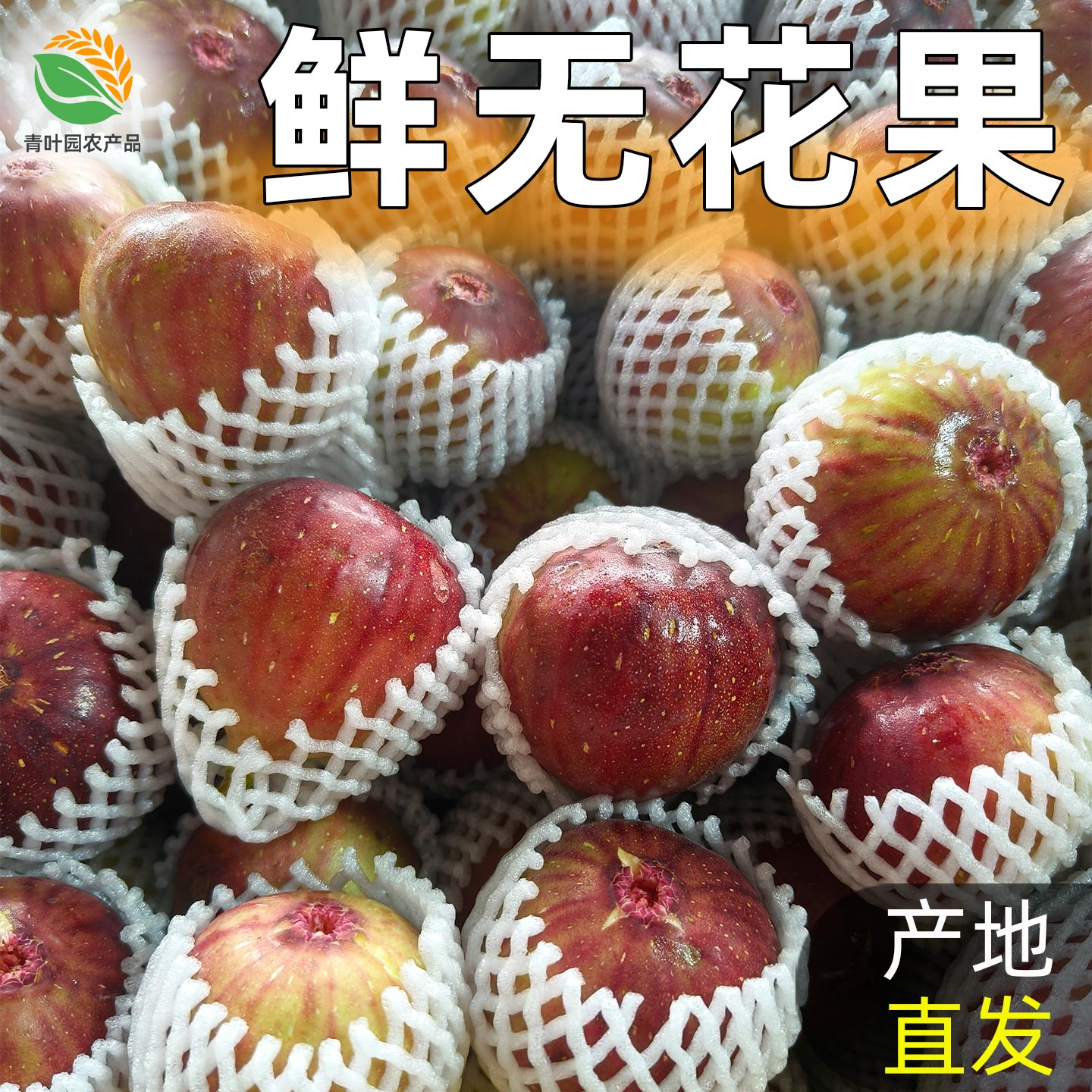 无花果新鲜当季产地直发
