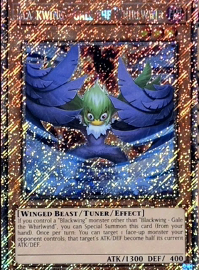 游戏王美英一刷PSCR黑羽－疾风之盖尔BF RA03-EN215 AF2