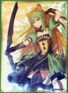 动漫妹套FATE FGO Archer Atalanta 阿塔兰忒 限定卡牌套 6DW