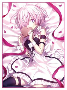 动漫妹套FATE FGO 玛修 盾娘 学妹 情人节 会场限定卡套 牌套9A1