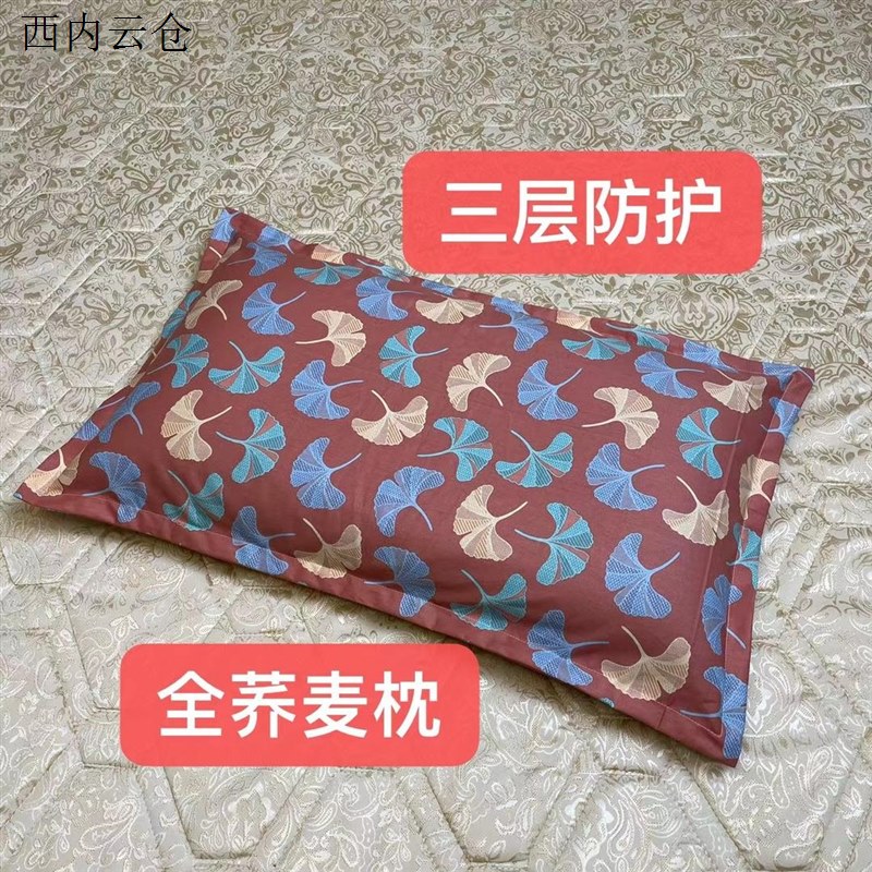 手工制作全荞麦枕头三层防护加厚加密舒适透气尺寸42*70填充5斤