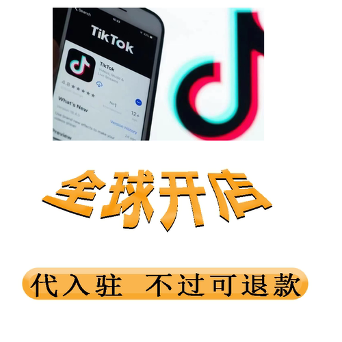 tk店代入驻/美国代入驻/东南亚代入驻/欧州代入驻/电商流水