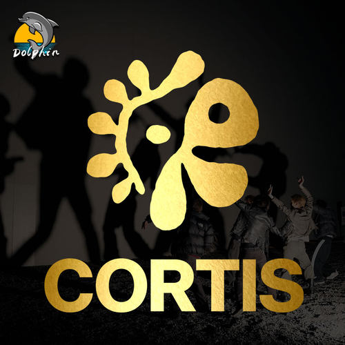 CORTIS烤蹄子logo金主训赵雨凡演唱会应援镂空车贴行李箱装饰贴纸