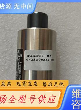 需询价-HOPPE 压载探头Hoset1--kS 0/250