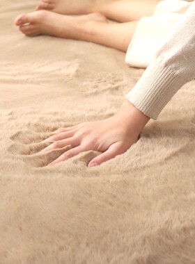 ins仿兔毛地毯客厅卧室茶几床边满铺可机洗定制加厚毛绒飘窗地垫