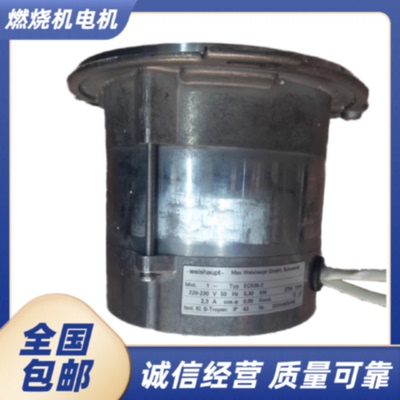 议价德国weishaupt/威索燃烧器电机/马达WG30N/1-C ECK05/A-2 ECK