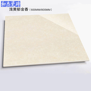 浅黄郁金香600X600通体砖800X800客厅地砖防滑耐磨北欧风全屋通铺