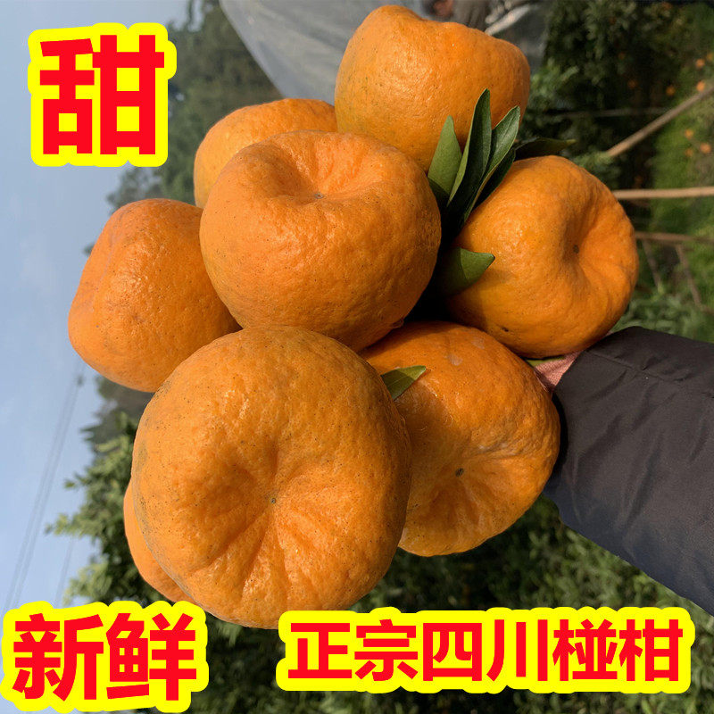正宗四川椪柑留佳椪柑当季新鲜桔子橘子孕妇水果现摘现发9斤