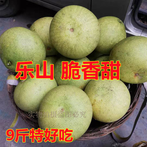 四川乐山脆香甜大柑子白心柚子纯甜不酸