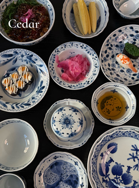 日本蓝凛堂盘子进口陶瓷餐盘日式家用青花盘子汤盘釉下彩圆盘深盘