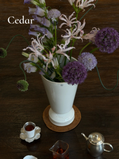 ERNST中古款 米白色北欧水培陶瓷ins风插花器 复古花瓶adv款