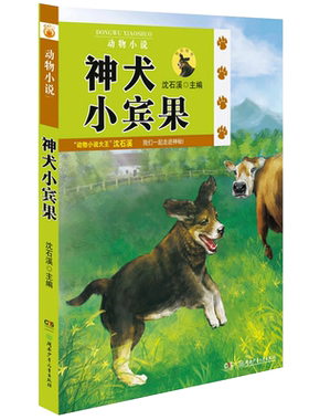 沈石溪动物小说神犬小宾果 绘画/漫画/连环画/卡通故事少儿 早教启蒙动物小说 儿童教辅教材读物 少儿图书 育儿孕期读物书籍
