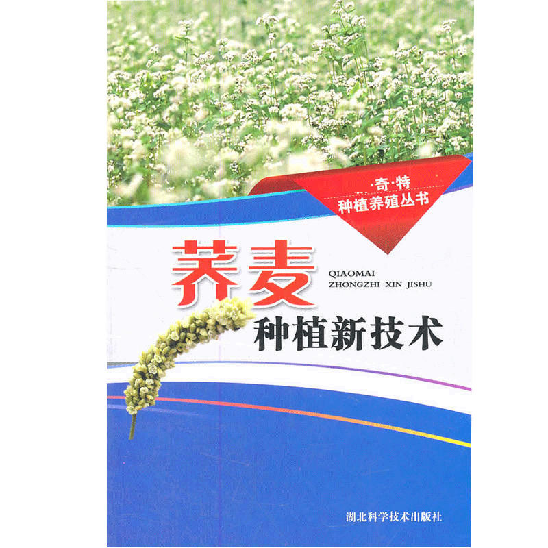 荞麦种植新技术 现代生态农业种植栽培技术 现代生态农业种植技术资料大全书籍 农业种植技术书籍