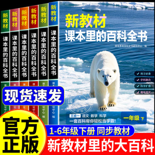 2026春下册】新教材里的大百科同步新教材小学1-6年级语文数学科学知识拓展孩子的第二课堂一二三四五六年级课本里的百科全书常识
